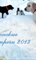 Крещенские морозы 2013 года Крещенские морозы 2013 года